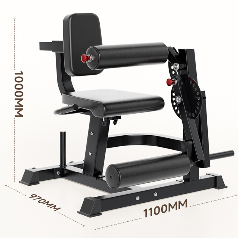 Adjustable 6 Position Workout  - Home Gym Leg Extension recension och pris